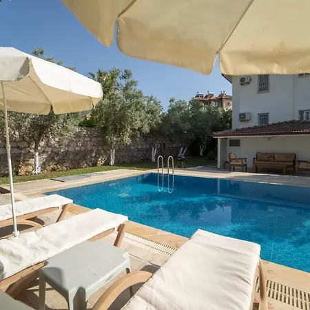 Magnificent With Private Pool Amazing View And Backyard In Oludeniz Villa Ovacik (Fethiye)