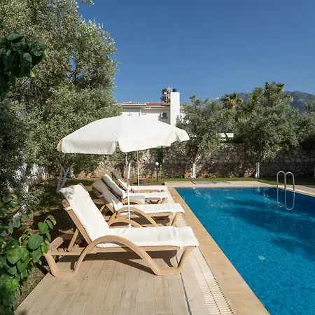 Villa Magnificent With Private Pool Amazing View And Backyard In Oludeniz